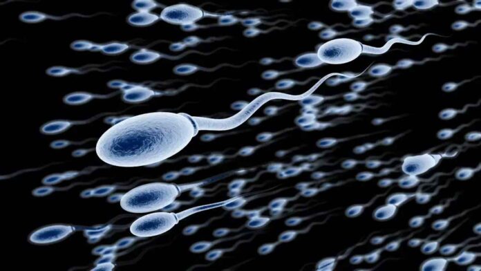 Sperm caught breaking Newton's third law of motion https://dx.doi.org/10.1103/PRXLife.1.023002