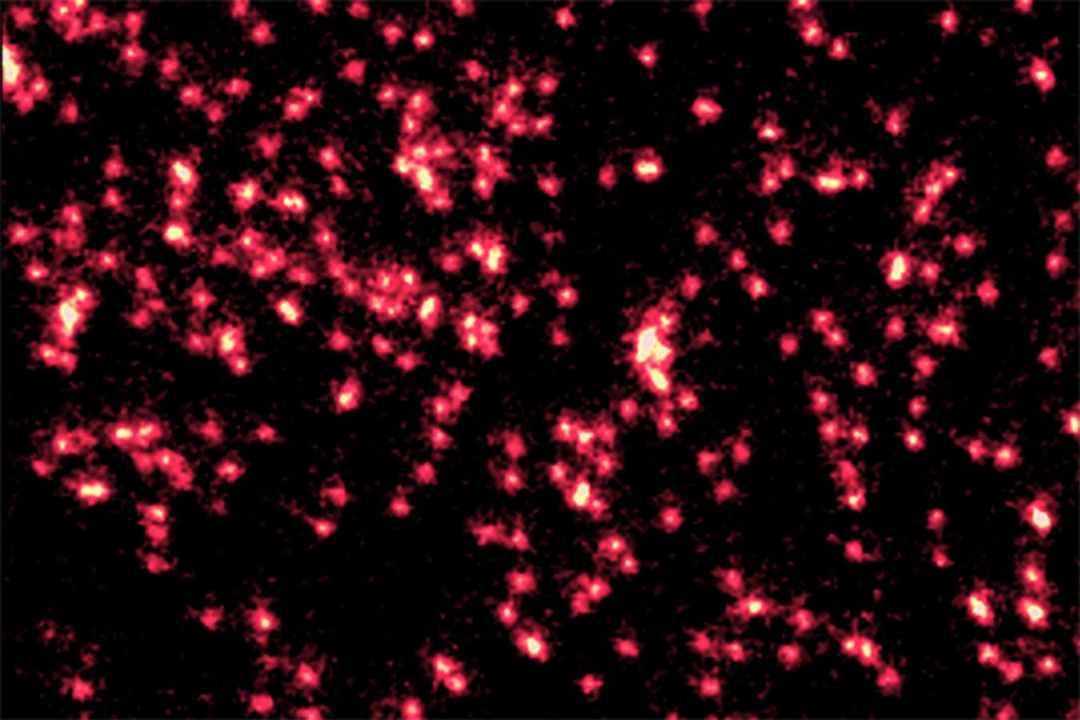 The image shows sharp red dots of fluorescing atoms transforming into fuzzy blobs of wave packets and is a stunning demonstration of the idea that ato